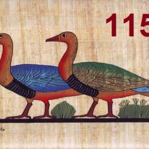 This view depicts two geese from six geese in MEIDUM, that they were found in a private tomb at MEIDUM, in BENI-SUEF. The bench of NEFERMAAT and his wife ATET, the work dates from early in the reign of SNEFRU, of the fourth Dynasty, the old kingdom. The birds shows a delightful expression of the technical virtuosity and highly developed in showing the details of the bird goose. It is kept now in the EGYPTIAN museum.