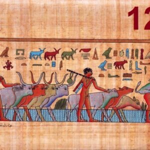 This view depicts the herd of cows and oxen that are driven a long by peasants. The three shepherds lead them and feed them. There were some gods which took the shape of an ox like " MONTO, men, AMON "ABIS was an example of these gods which incarnated in oxen. a strong ox was depicted as if it was the leader of the other oxen and which the king and his company were pleased to hunt it. These oxen were as a symbol of the fighting king, who is the god of strength who fights fiercely.