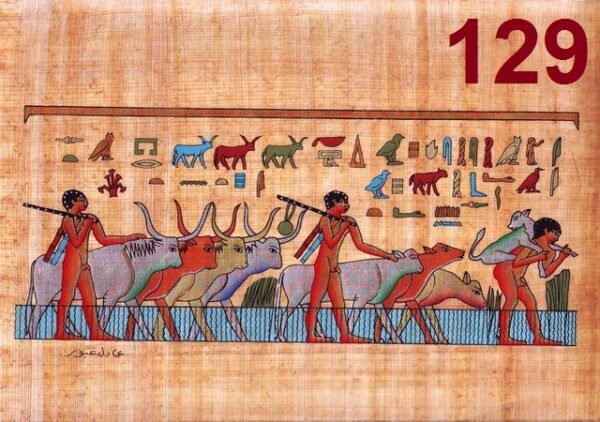 This view depicts the herd of cows and oxen that are driven a long by peasants. The three shepherds lead them and feed them. There were some gods which took the shape of an ox like " MONTO, men, AMON "ABIS was an example of these gods which incarnated in oxen. a strong ox was depicted as if it was the leader of the other oxen and which the king and his company were pleased to hunt it. These oxen were as a symbol of the fighting king, who is the god of strength who fights fiercely.