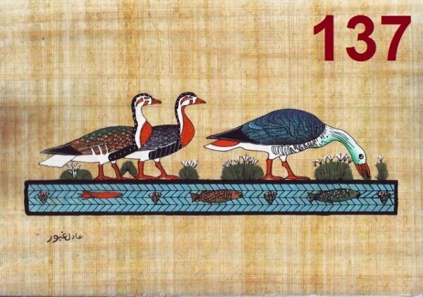 the right side from the board of six geese in medium, that they were found in a private tomb at medium, in Beni-Suef. it is kept now in the Egyptian museum
